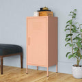 Armadio Giordanoshop da Esterno cm 1 Anta 1 Ripiano in Resina 34 x 40 x 85 Grigio